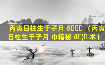 丙寅日柱生于子月 🐒 （丙寅日柱生于子月 巾箱秘 🦟 术）